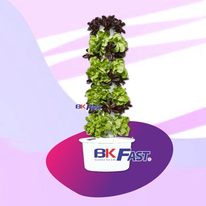 Mô hình trụ trồng rau thủy canh BKFAST